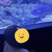 ヒメ日記 2025/08/13 22:54 投稿 青木日向子 五十路マダムエクスプレス船橋店(カサブランカグループ)