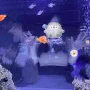 ヒメ日記 2025/08/30 10:32 投稿 青木日向子 五十路マダムエクスプレス船橋店(カサブランカグループ)