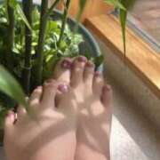 ヒメ日記 2025/09/22 19:58 投稿 青木日向子 五十路マダムエクスプレス船橋店(カサブランカグループ)