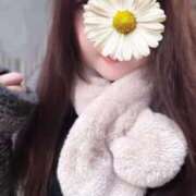 ヒメ日記 2025/10/29 19:50 投稿 青木日向子 五十路マダムエクスプレス船橋店(カサブランカグループ)