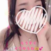 ヒメ日記 2025/11/09 04:00 投稿 青木日向子 五十路マダムエクスプレス船橋店(カサブランカグループ)