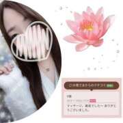 ヒメ日記 2025/11/24 04:54 投稿 青木日向子 五十路マダムエクスプレス船橋店(カサブランカグループ)