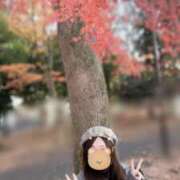 ヒメ日記 2025/11/30 23:28 投稿 青木日向子 五十路マダムエクスプレス船橋店(カサブランカグループ)