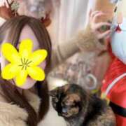 青木日向子 クリスマス前のラブストーリー? 五十路マダムエクスプレス船橋店(カサブランカグループ)