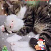 ヒメ日記 2025/12/24 17:54 投稿 青木日向子 五十路マダムエクスプレス船橋店(カサブランカグループ)