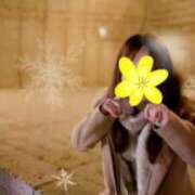 ヒメ日記 2025/12/28 05:46 投稿 青木日向子 五十路マダムエクスプレス船橋店(カサブランカグループ)