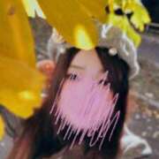 ヒメ日記 2025/12/29 06:20 投稿 青木日向子 五十路マダムエクスプレス船橋店(カサブランカグループ)