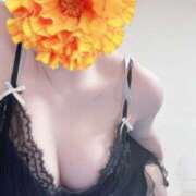 ヒメ日記 2025/04/09 13:58 投稿 なみ Paradis-パラディ-