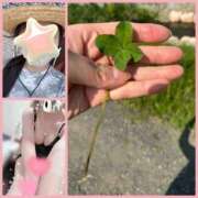 ヒメ日記 2025/05/01 19:08 投稿 なみ Paradis-パラディ-