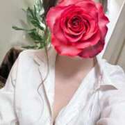 ヒメ日記 2025/05/07 14:18 投稿 なみ Paradis-パラディ-