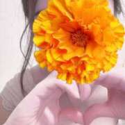 ヒメ日記 2025/12/30 23:18 投稿 なみ Paradis-パラディ-