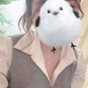 ヒメ日記 2026/02/09 14:08 投稿 なみ Paradis-パラディ-