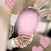 ヒメ日記 2026/02/19 19:48 投稿 なみ Paradis-パラディ-