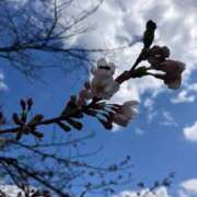 ヒメ日記 2026/03/29 18:18 投稿 なみ Paradis-パラディ-