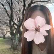 ヒメ日記 2026/04/07 14:08 投稿 なみ Paradis-パラディ-