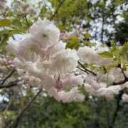 ヒメ日記 2026/04/22 14:38 投稿 なみ Paradis-パラディ-