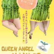 ヒメ日記 2024/10/06 11:09 投稿 ななこ Queen Angel(クイーンエンジェル)