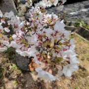 りつ◆大人可愛い小悪魔♡ お休み情報🐑💤 エピソード倉敷