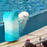 ヒメ日記 2025/09/13 09:25 投稿 りつ◆大人可愛い小悪魔♡ エピソード倉敷