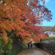 ヒメ日記 2025/11/14 23:44 投稿 りつ◆大人可愛い小悪魔♡ エピソード倉敷