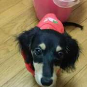 ヒメ日記 2026/05/12 09:01 投稿 りつ◆大人可愛い小悪魔♡ エピソード倉敷