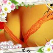 ヒメ日記 2026/04/02 11:05 投稿 ルミ ピュアストーリー