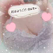 ヒメ日記 2024/12/05 08:42 投稿 新開　十和子 プルプル人妻専門店