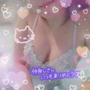 ヒメ日記 2024/12/05 09:52 投稿 新開　十和子 プルプル人妻専門店