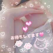 ヒメ日記 2024/12/05 12:25 投稿 新開　十和子 プルプル人妻専門店