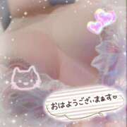 ヒメ日記 2024/12/12 08:40 投稿 新開　十和子 プルプル人妻専門店