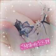 ヒメ日記 2024/12/14 11:07 投稿 新開　十和子 プルプル人妻専門店