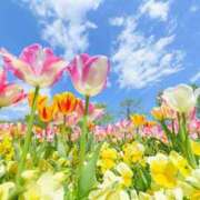 ヒメ日記 2024/12/14 13:48 投稿 新開　十和子 プルプル人妻専門店