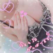 ヒメ日記 2024/12/21 08:47 投稿 新開　十和子 プルプル人妻専門店