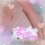 ヒメ日記 2025/02/18 12:42 投稿 新開　十和子 プルプル人妻専門店