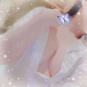 ヒメ日記 2025/05/11 12:29 投稿 新開　十和子 プルプル人妻専門店