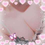 ヒメ日記 2025/06/13 14:30 投稿 新開　十和子 プルプル人妻専門店