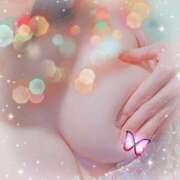 ヒメ日記 2026/01/05 10:30 投稿 新開　十和子 プルプル人妻専門店