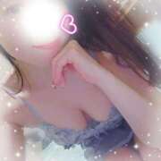 ヒメ日記 2026/03/10 10:17 投稿 新開　十和子 プルプル人妻専門店