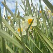 ヒメ日記 2025/01/16 11:08 投稿 リオナ 茨城神栖ちゃんこ