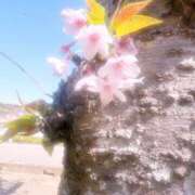 ヒメ日記 2025/04/22 07:03 投稿 リオナ 茨城神栖ちゃんこ