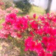 ヒメ日記 2025/05/13 09:30 投稿 リオナ 茨城神栖ちゃんこ