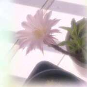 ヒメ日記 2025/06/12 20:50 投稿 リオナ 茨城神栖ちゃんこ