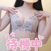 ヒメ日記 2025/04/21 03:33 投稿 だてちゃん セクシー(長崎)