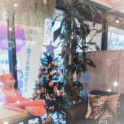 ヒメ日記 2025/12/22 17:18 投稿 だてちゃん セクシー(長崎)