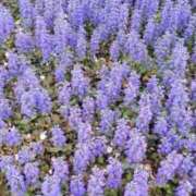 ヒメ日記 2026/04/18 12:19 投稿 だてちゃん セクシー(長崎)