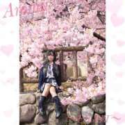 ヒメ日記 2025/04/15 16:38 投稿 あろま（極上SPコース対応） EIGHT（エイト）～8つのお約束と無限の可能性～