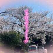 ヒメ日記 2026/04/02 15:50 投稿 エヴァ ドMバスターズ 京都店