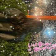 ヒメ日記 2026/04/16 06:35 投稿 エヴァ ドMバスターズ 京都店