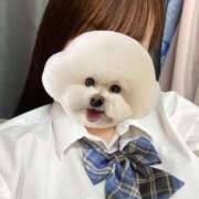 ヒメ日記 2025/06/07 11:45 投稿 しおり スピードエコ梅田店