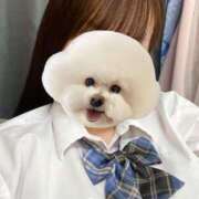 ヒメ日記 2025/06/25 20:44 投稿 しおり スピードエコ梅田店